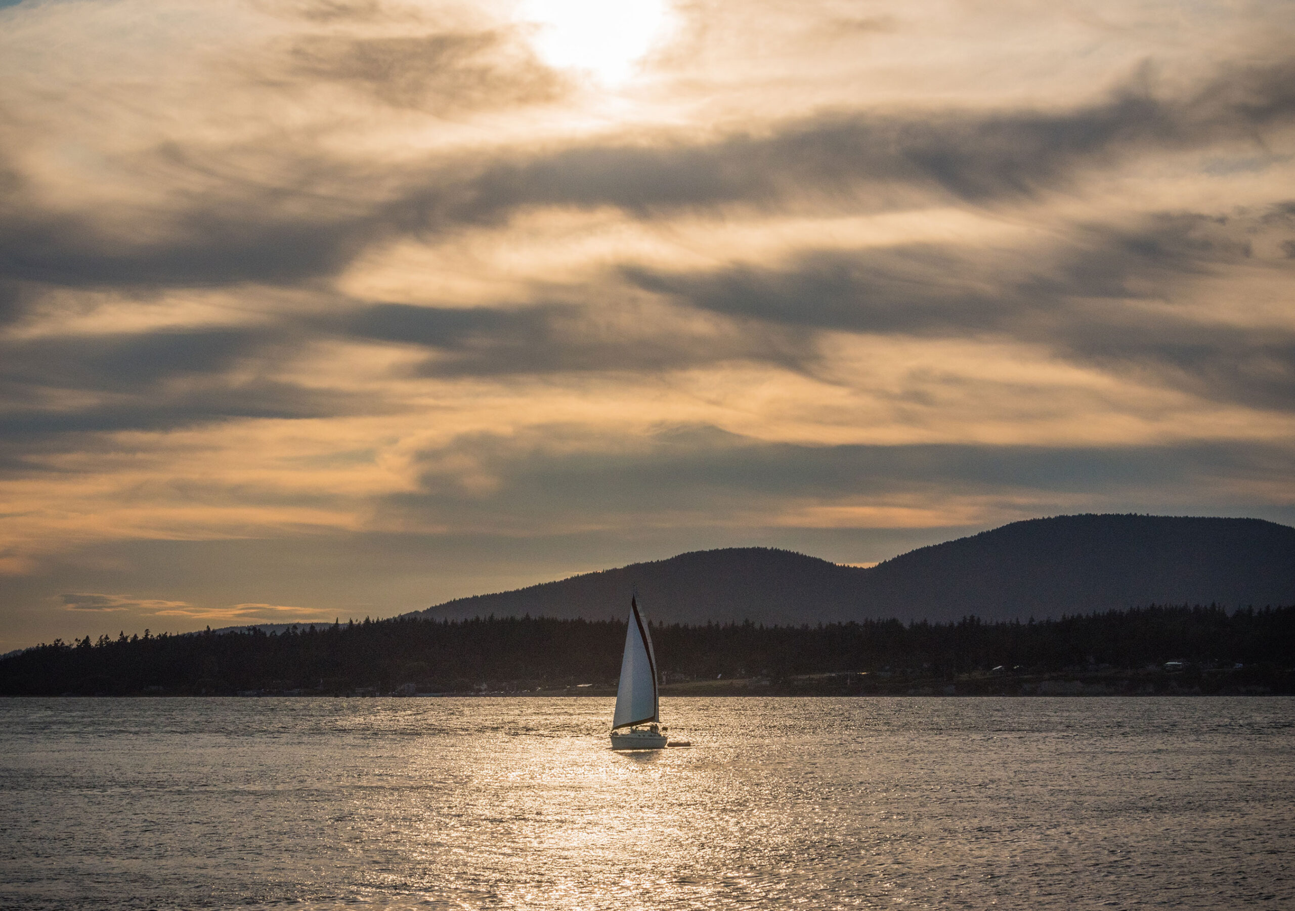 7 Common Myths About Estate Planning in Lee County, FL